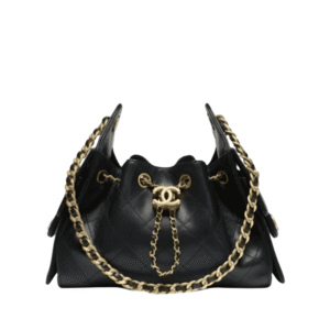 Chanel Mini 25 Hobo Bag